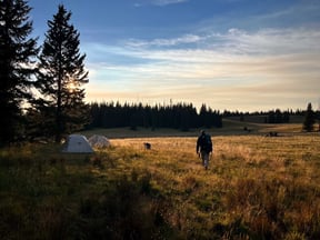 IMG_0401